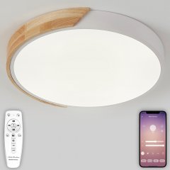 Потолочный светильник Scandinavian LED LAMPS 81181